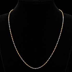 Tri-Color Long Beaded Chain Necklace