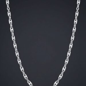 Bold Oval Link Chain