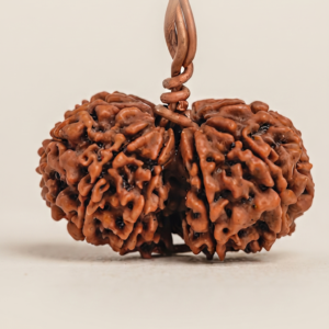 Natural Nepali Gauri Shankar Rudraksha