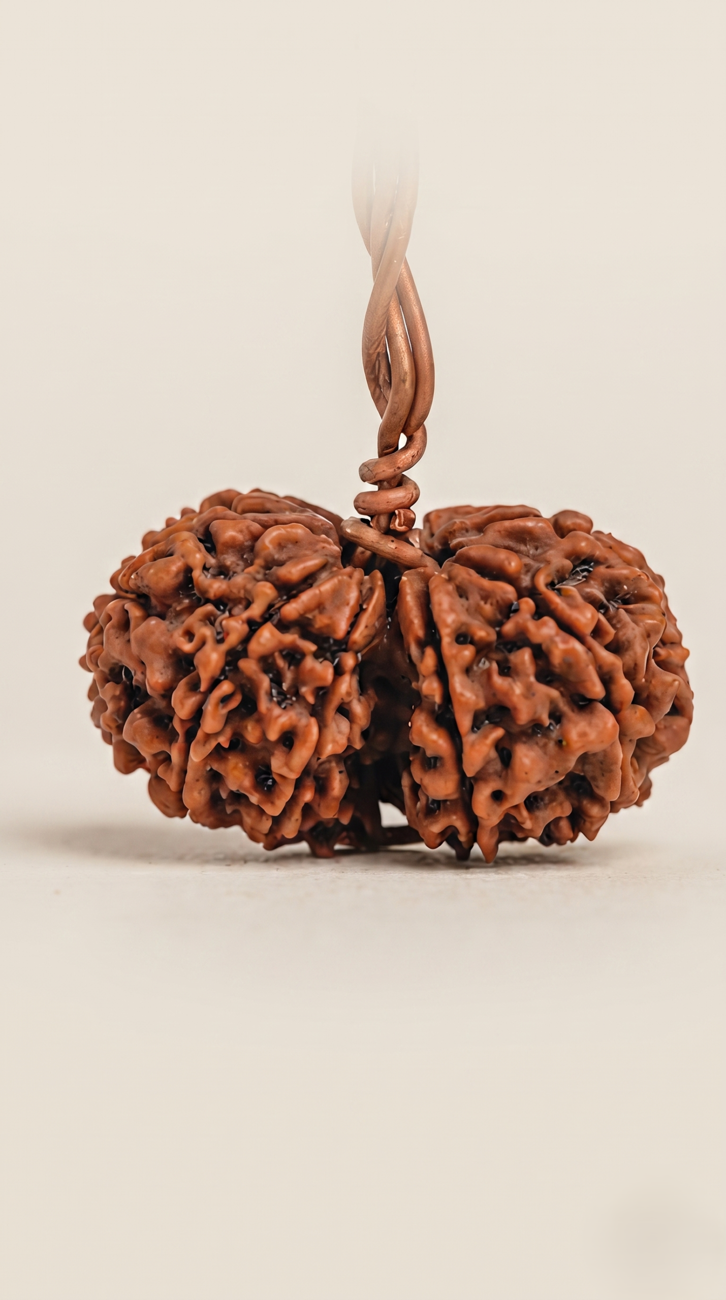 Natural Nepali Gauri Shankar Rudraksha