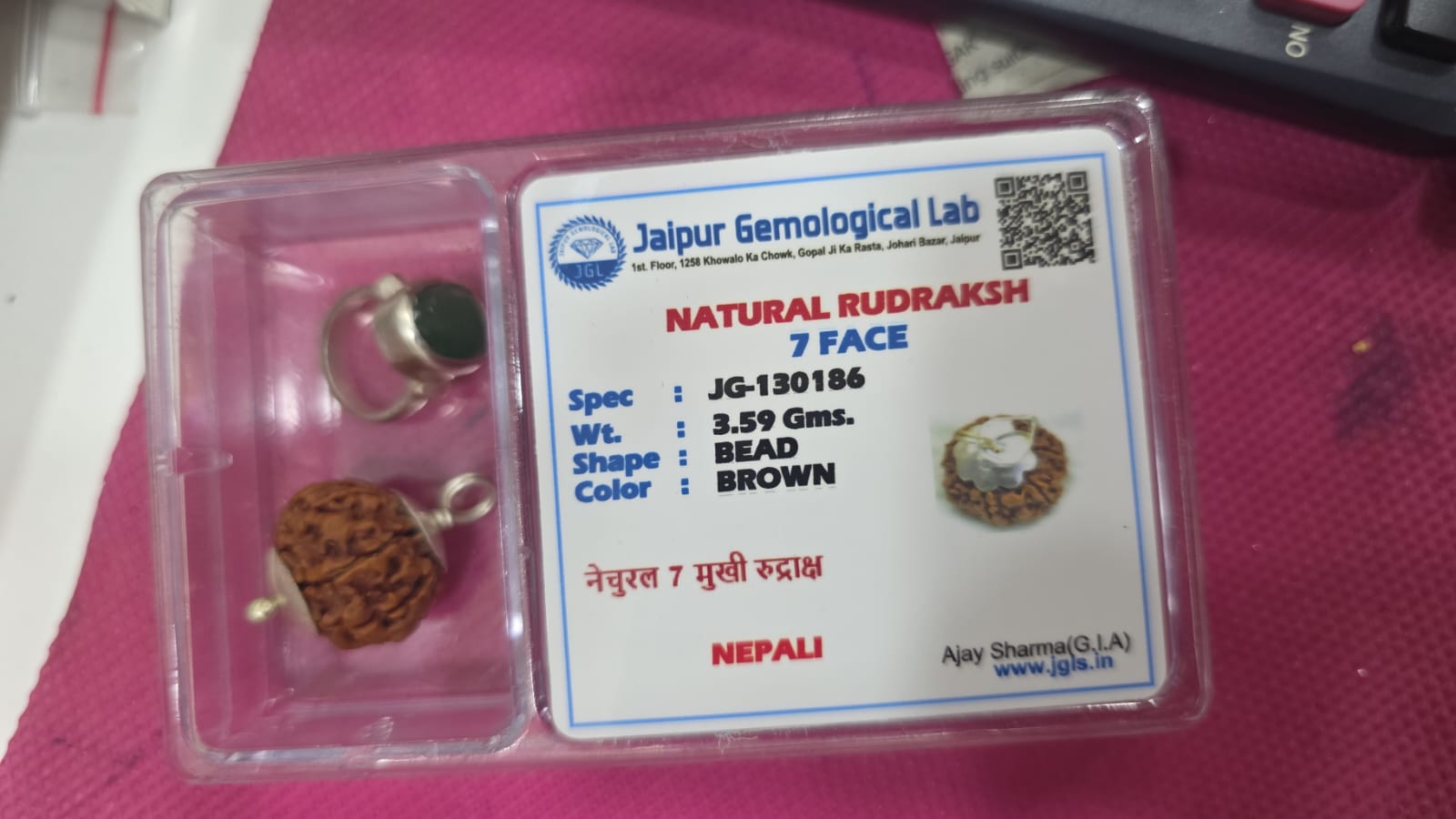 Authentic 7 Mukhi (Seven Face) Rudraksha Bead - Image 2